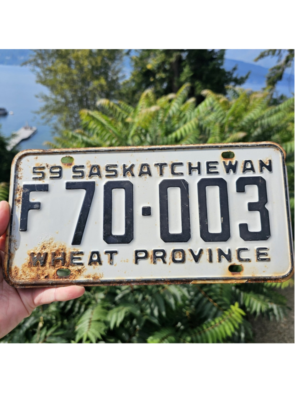1959 Saskatchewan FARM Wheat Province License Plate F70-003 Vintage Canada